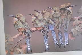 LISA HALSTEAD (SA Wildlife Artist): Out of the Meek, comes the Wild