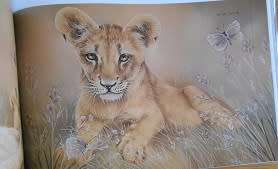 LISA HALSTEAD (SA Wildlife Artist): Out of the Meek, comes the Wild