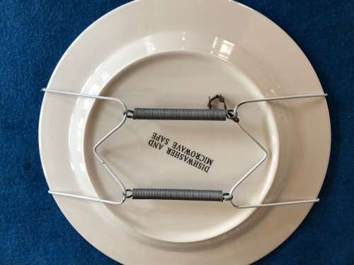 Handpainted plate with olive decoration