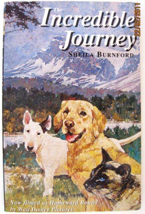 The Incredible Journey, by Sheila Burnford   (Hodder Children's Books)