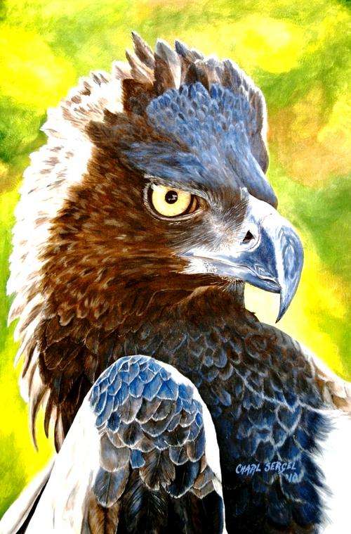 The Martial by Charl Sergel - Stunning Signed Original - Gallery Retail R1300