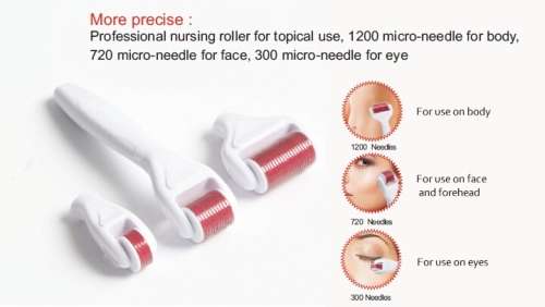 4 in 1 Derma Roller