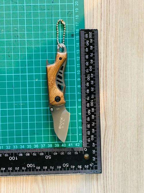 BUCK Pocket Knife