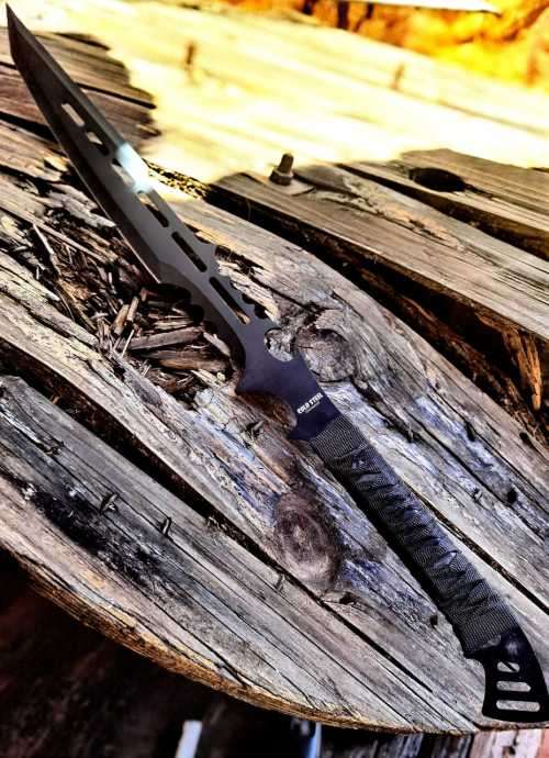 DRAGON WARRIOR SWORD