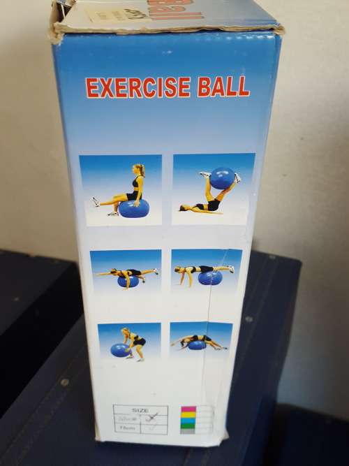 GYM EXERCISE BALL WITH PUMP !!!! REDUCED TO CLEAR !!!! ONLY 1 LEFT IN RED !!!!