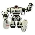 ROBONE the ROBOT. Remote Controlled. Ideal for Birthdays or Christmas. Market suggestion R750-850