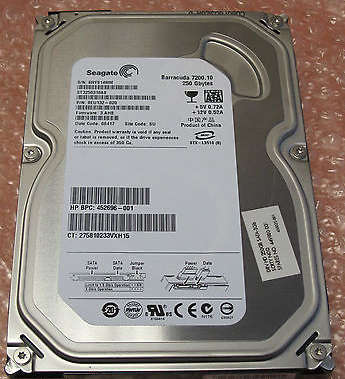 Seagate 250GB
