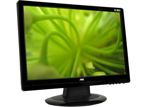 AOC 19" LCD Monitor 919SW-1 - LCD monitor - 19"