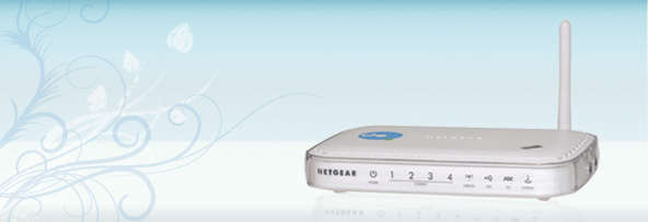 NETGEAR WIRELESS ROUTER WITH BUILT-IN DSL MODEM