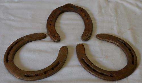 3 "Lucky" Rustic Horse shoes