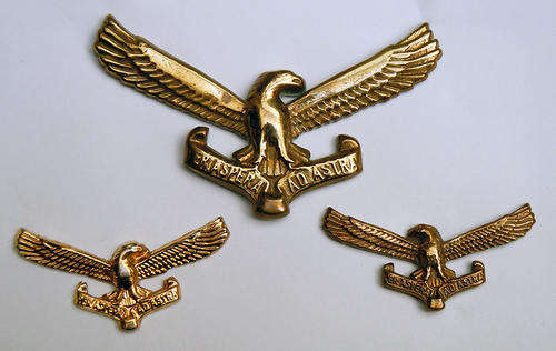 SAAF - Beret & Collar Badges