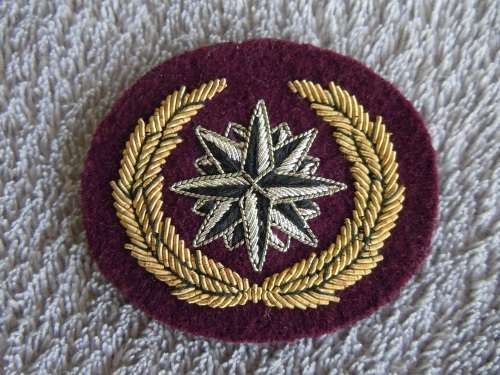 Recce - Beret Compass Rose Beret Badge (Bullion Wire - UK)