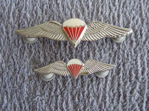 Authentic Freefall Wings with Lucited Red Rigging Lines + Mess Dress (Part - Recce Collection)