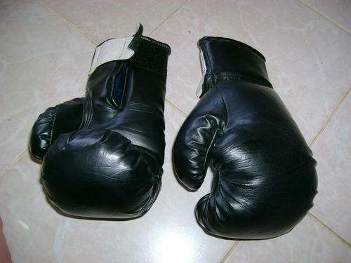 Material Arts Gloves