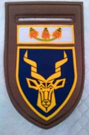 REGIMENT CHRISTIAAN BEYERS nutria shoulder flash