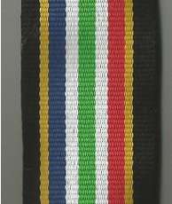 SAPS SOCCER WORLD CUP 2010 SUPPORT MEDAL - 40cm ribbon