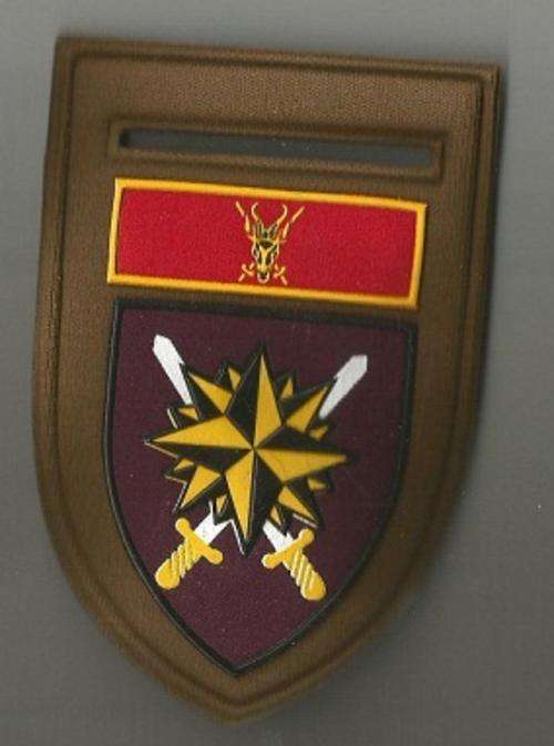 Special Forces Brigade HQ nutria shoulder flash