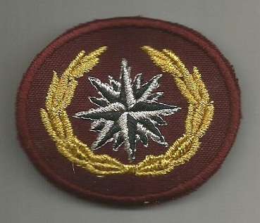 Special Forces / Recce beret badge