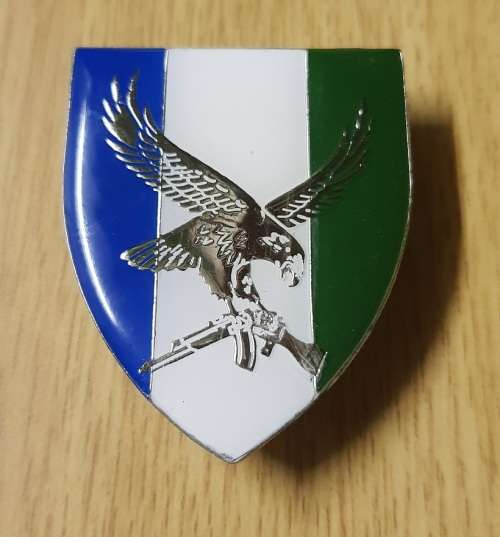 SWA 101 Romeo Mike Battalion pocket flash