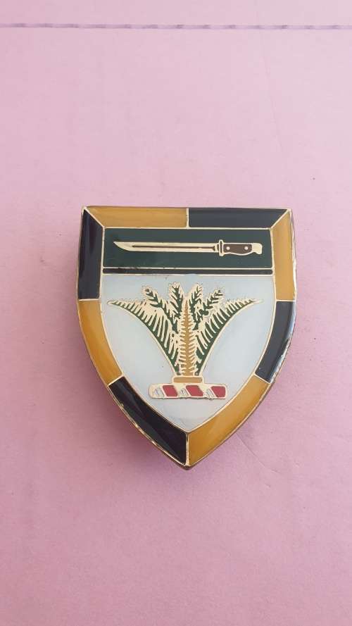 SWA Sector 10 HQ shoulder flash