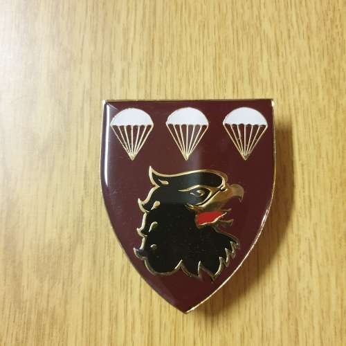 3 Parachute Battalion shoulder flash