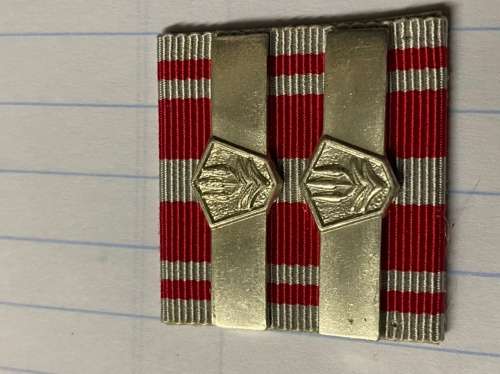 SAP Combating Terrorism 2 x Bars