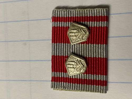 SAP Combating Terrorism 2 x Clasps