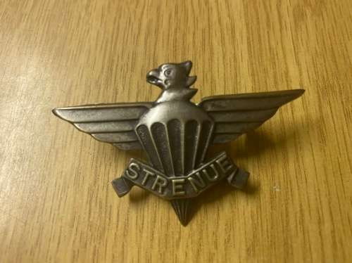 3 Parachute Bn beret badge