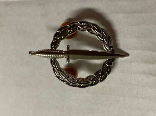 Recce Operator badge