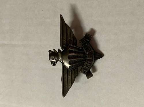 3 Parachute Bn beret badge