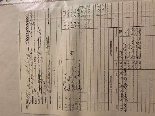 Medal Group to BLJ Saayman