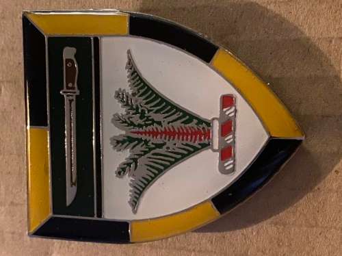 SWA Sector 10 Training shoulder flash