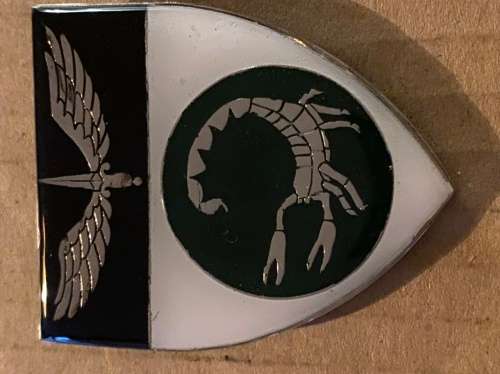 2 Recce shoulder flash