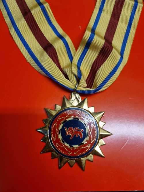 Gazankulu Police Star for Distinguished Leadership