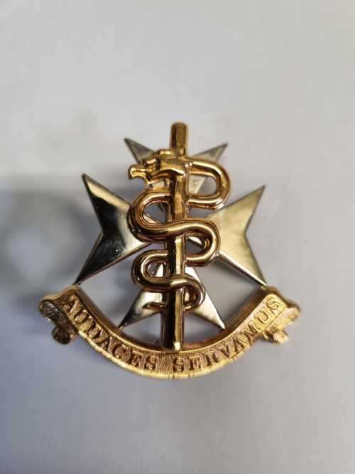 SADF Medical Services Cap Badge