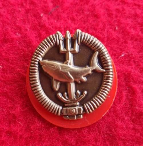 Recce Attack Diver full size badge (bronze)