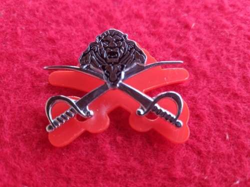 SANDF Qualification PT Instructor Badge