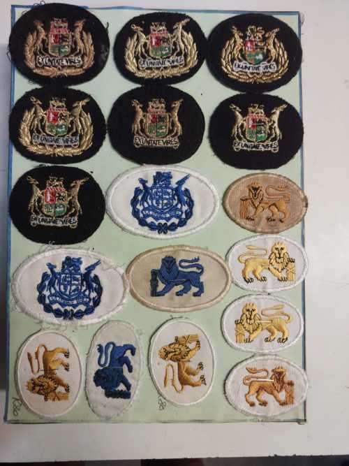 Group of 17 x Navy badges
