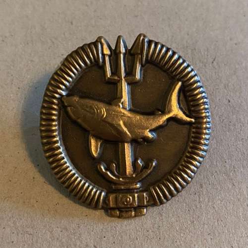 Recce Attack Divers Proficiency Badge (Bronze)