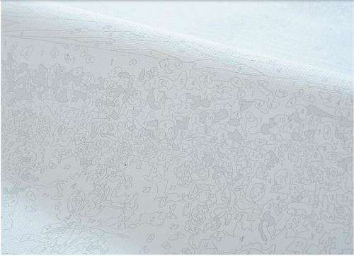 Painting By Numbers Cat Abstract Frameless