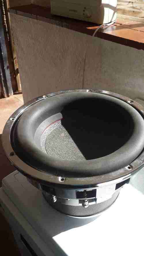 12' Digital Subwoofer