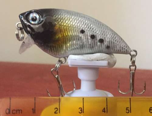 DIVING POPPER LURE