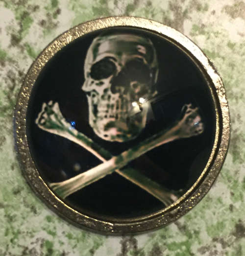 BP06 - SINGLE BIKER PINS Skull crossbones