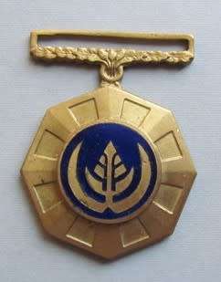 PRO PATRIA MEDAL : 128997