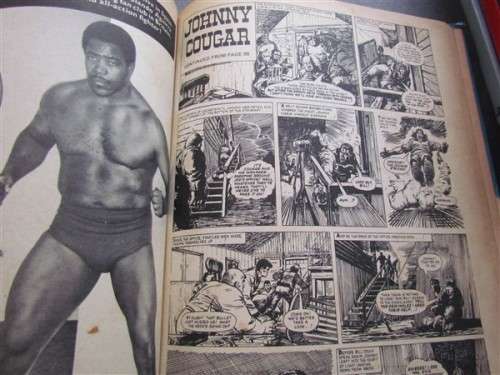 TIGER ANNUAL - MOHAMMED ALI ISSUE - A FEW LOOSE PAGES