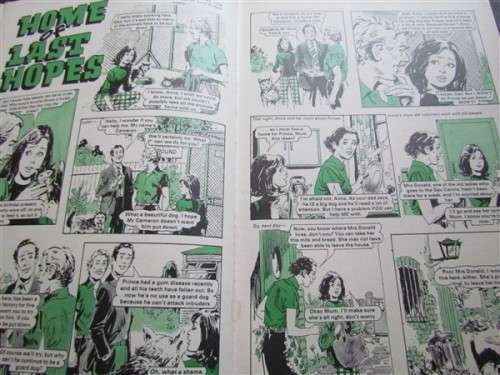 MANDY FOR GIRLS ANNUAL - 1985