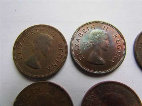 SA Union Half Penny Lot - See pics for dates & condition - 1 bid for all