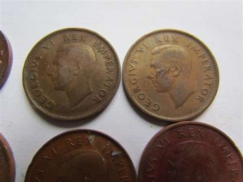 SA Union Half Penny Lot - See pics for dates & condition - 1 bid for all