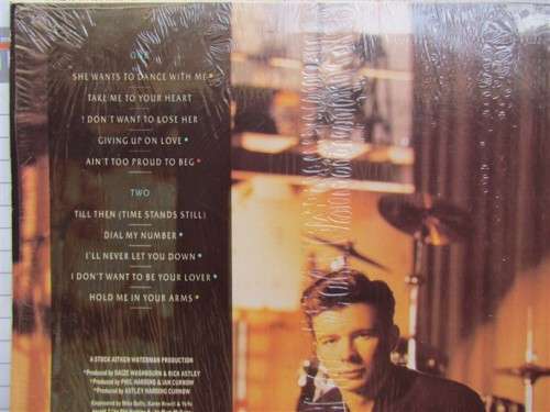 Rick Astley - Hold me in your Arms - Vintage LP