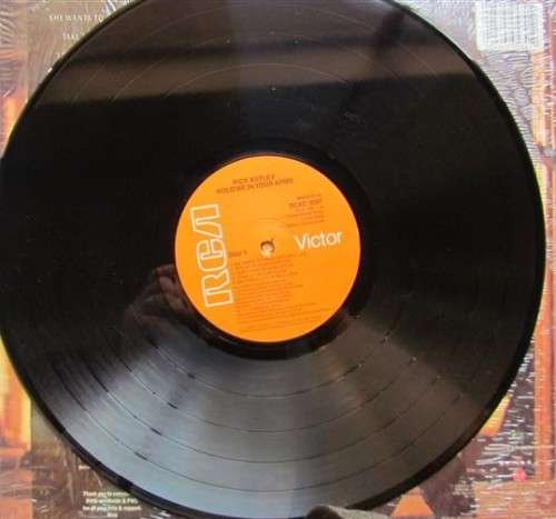 Rick Astley - Hold me in your Arms - Vintage LP